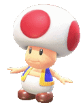 Toad