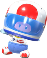 Pro Racer