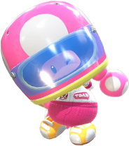 Pro Racer